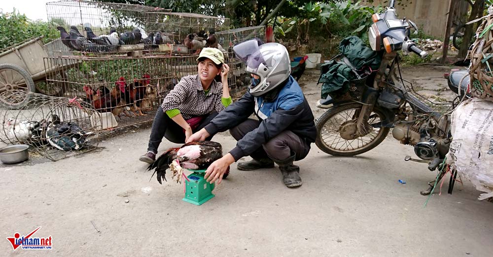 cat tiet ga vat long chim ben dai lo hien dai nhat viet nam