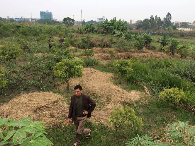 nguy co xoa so di chi hon 3 nghin nam tuoi tai ha noi