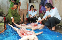 Thu mua lợn bệnh, ốm giá rẻ về giết mổ để bán kiếm lời