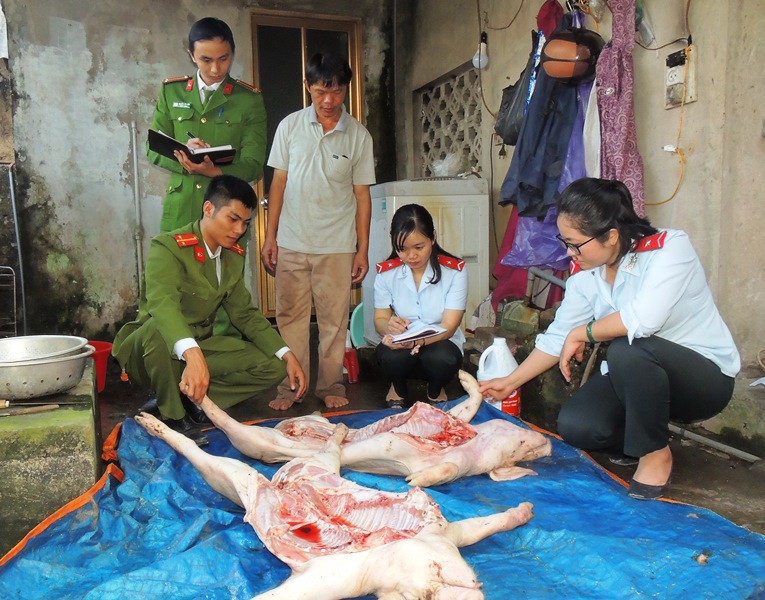 thu mua lon benh om gia re ve giet mo de ban kiem loi