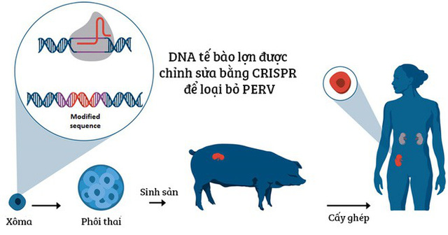 nhung dot pha y hoc xuat sac nhat nam 2018