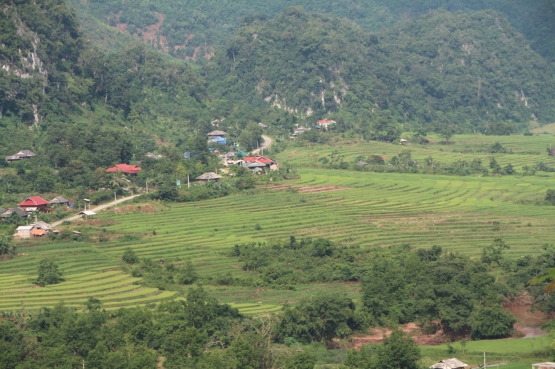 xay thuy dien trong khu bao ton quy mo it nhat phai tren 40m