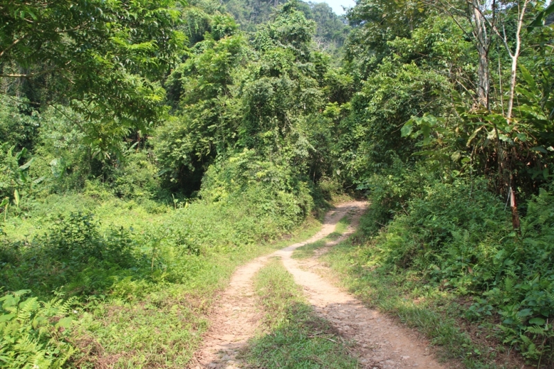 xe thit nghien cu giua khu bao ton can khoi to vu an