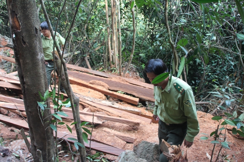 xe thit nghien cu o khu bao ton tinh se dieu tra den cung