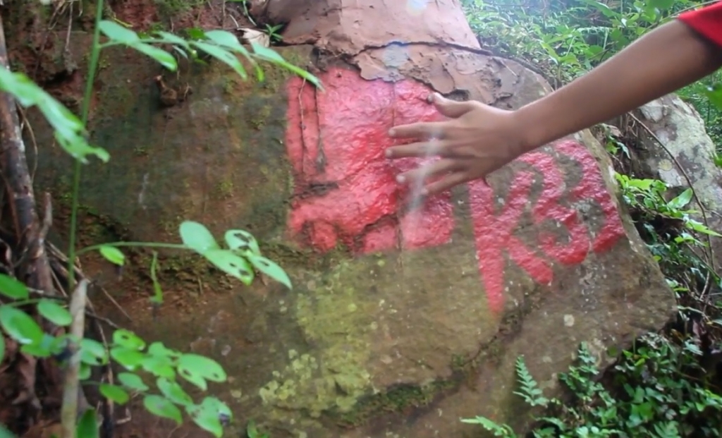 du an thuy dien xuan nha chi pha mot met vuong rung cung khong duoc
