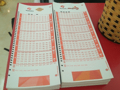 Kết quả xổ số (KQXS) Vietlott 6/55 hôm nay ngày 31/01/2019: Ai nhanh tay rinh jackpot gần 40 tỉ đồng?