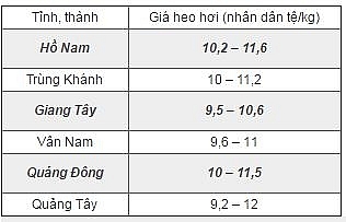 gia heo hoi trung quoc hom nay 144 gia binh quan dang tang nhe tro lai