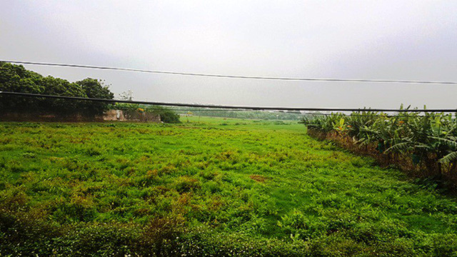 thu phu nuoi lon lon nhat mien bac tieu dieu sau con bao gia