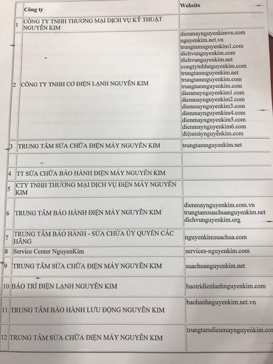 hang loat website gia mao sieu thi dien may lua khach hang
