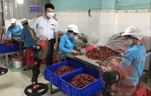 Vụ 100% bột ớt chứa chất gây ung thư: Cuộc kiểm tra hé lộ điều bất ngờ