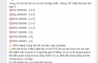 sieu sim 0909999999 duoc rao ban thanh cong voi gia 23 ty dong