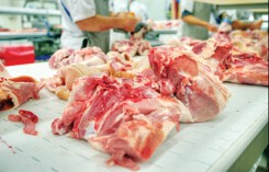 Ngành heo Thái Lan chịu nhiều áp lực