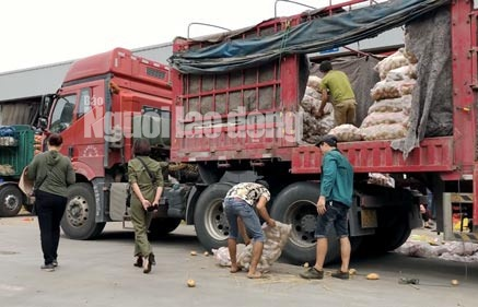 3 cach don gian phan biet khoai tay trung quoc va khoai tay da lat