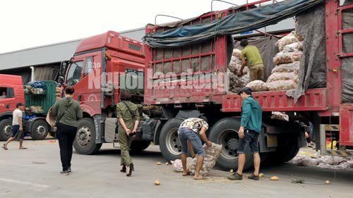 lat mat nong san trung quoc nhai hang da lat