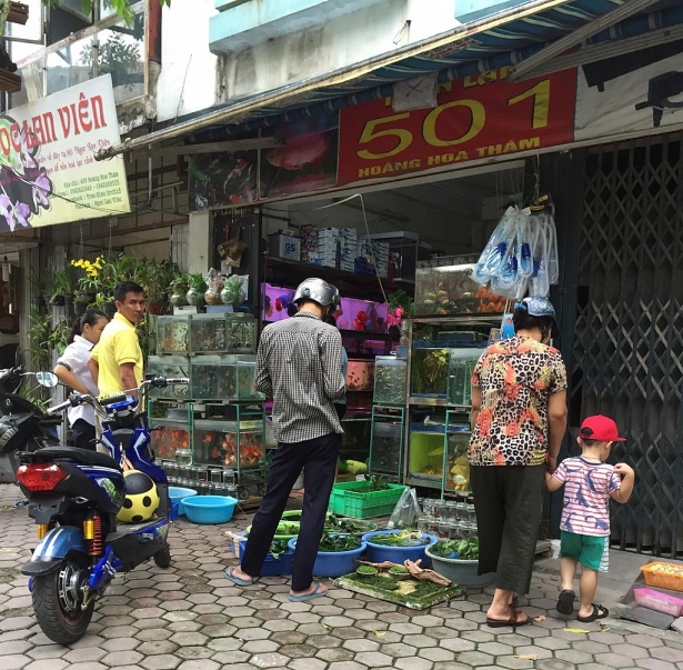 ram thang 7 chim phong sinh khan hiem long co bao nhieu mua het