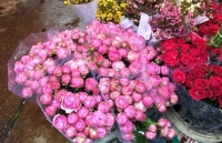 dan ha noi sot hong say deo hang tau tran ve lai an them 1 cu lua