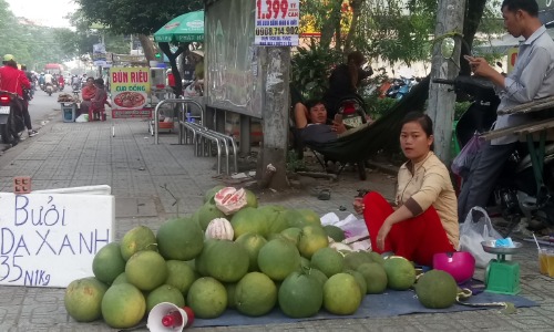 buoi da xanh gia re chat dong ban via he sai gon
