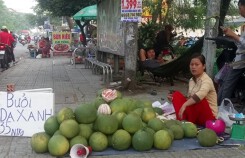 Bưởi da xanh giá rẻ chất đống bán vỉa hè Sài Gòn