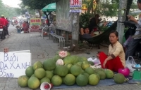 buoi tau khong lo vo vang bong tran ve cho viet 161055