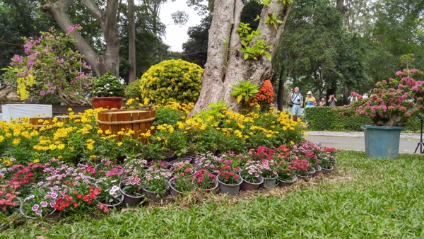 wi fi mien phi phuc vu hoi hoa xuan tet tai tphcm can tho ha noi nha trang