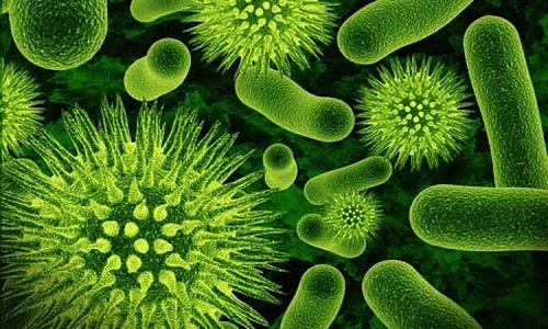 du an san lung 17 trieu virus chua duoc biet den