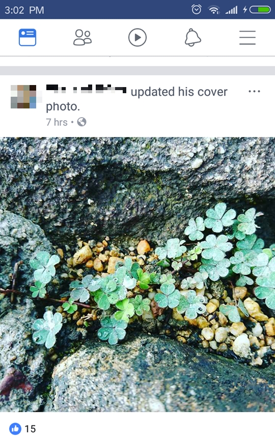 facebook loi hien thi anh tren news feed nguoi dung hoang mang