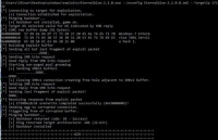 hacker trieu tien dung sau vu tan cong mang toan cau