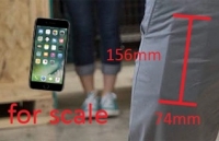 apple cua tim cook