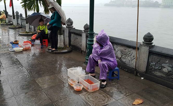 rua ca vua phong sinh bi vot ngay truoc mat tai chua tran quoc