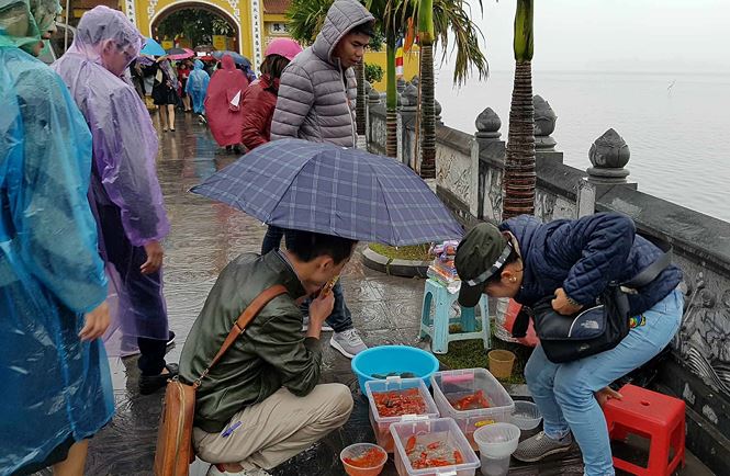 rua ca vua phong sinh bi vot ngay truoc mat tai chua tran quoc