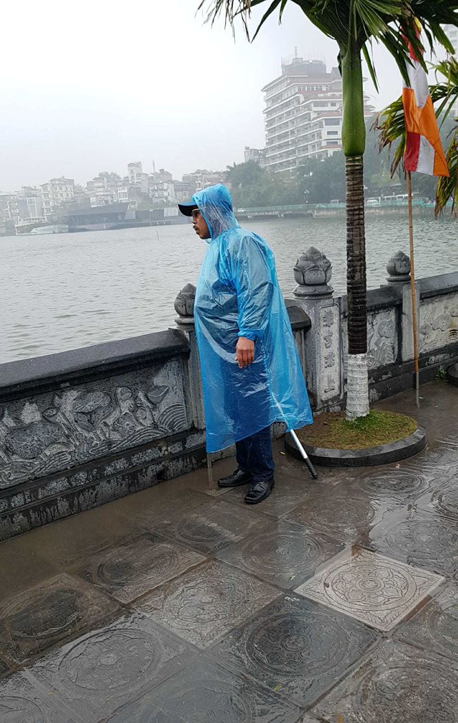 rua ca vua phong sinh bi vot ngay truoc mat tai chua tran quoc