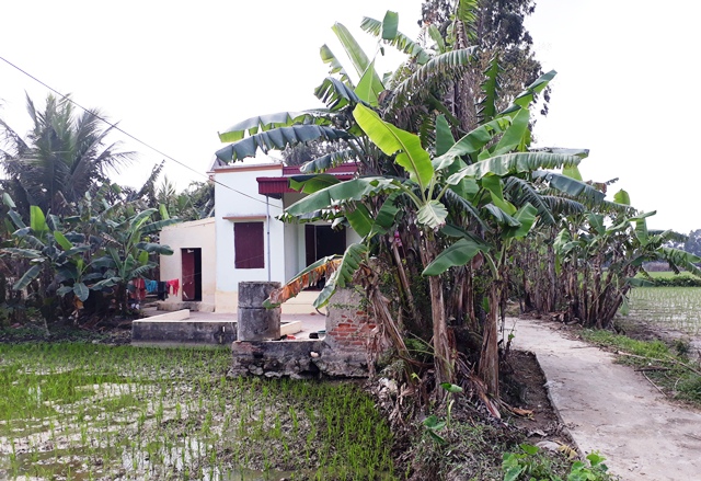 me ca si chau viet cuong no noi tieng ma chang co dong nao cho me