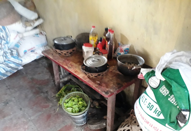 me ca si chau viet cuong no noi tieng ma chang co dong nao cho me