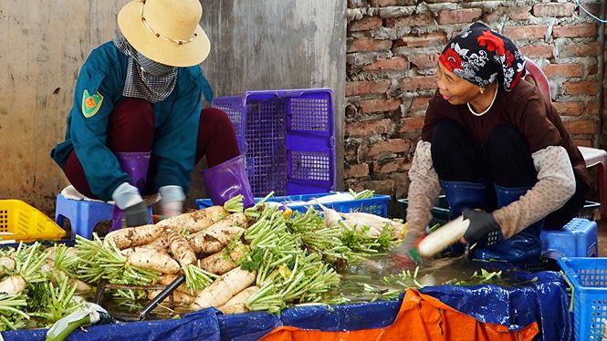 can canh hang tan cu cai nong dan ha noi vut bo trang dong