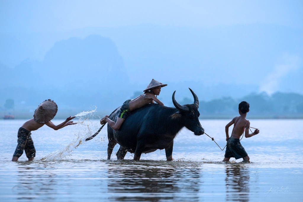 hai nhiep anh gia hai thinh va viet thanh dem hinh anh viet nam den chau au
