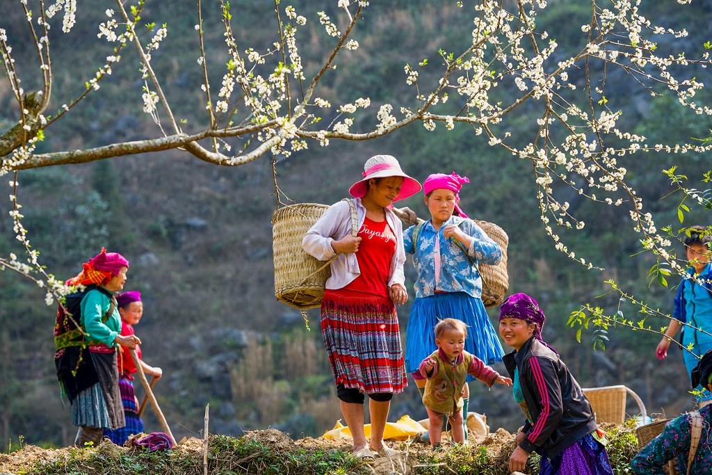 hai nhiep anh gia hai thinh va viet thanh dem hinh anh viet nam den chau au