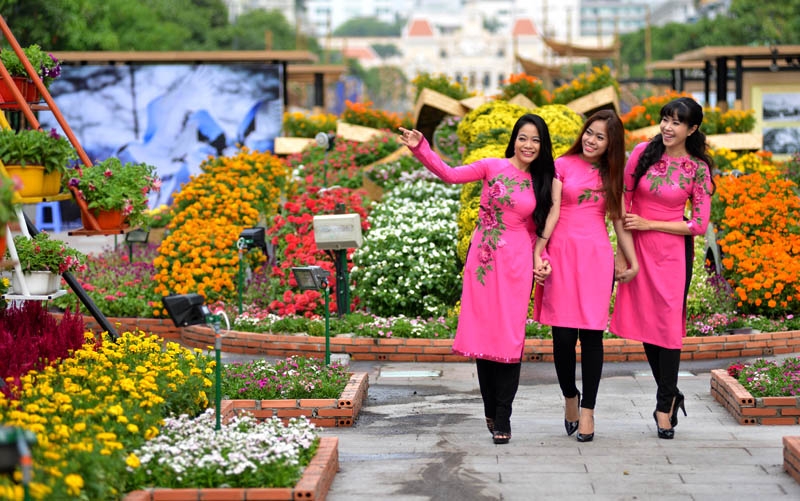 wi fi mien phi phuc vu hoi hoa xuan tet tai tphcm can tho ha noi nha trang