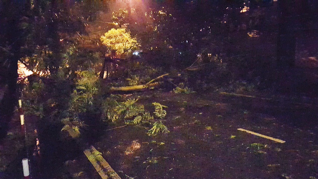 mua lon gio manh cay do la liet tai hue