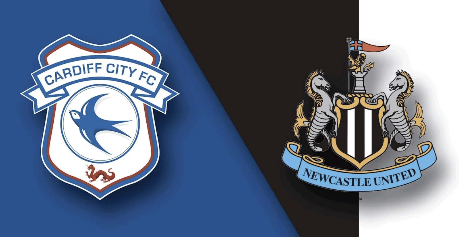 nhan dinh newcastle vs cardiff vong 23 premier league 2018 2019
