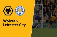 Kênh xem trực tiếp Wolves vs Leicester, vòng 23 Premier League mùa giải 2018-2019