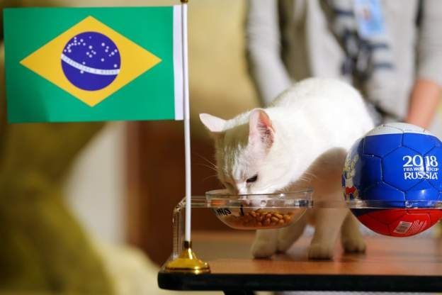 truc tiep brazil vs costa rica 19h00 226 bang e world cup 2018 cho neymar len tieng
