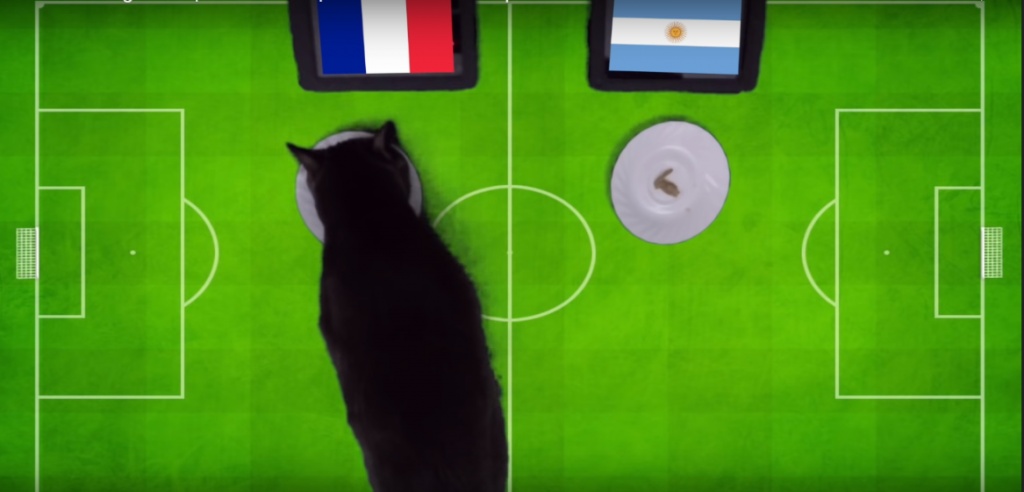 tien tri meo cass du doan soc tran phap vs argentina