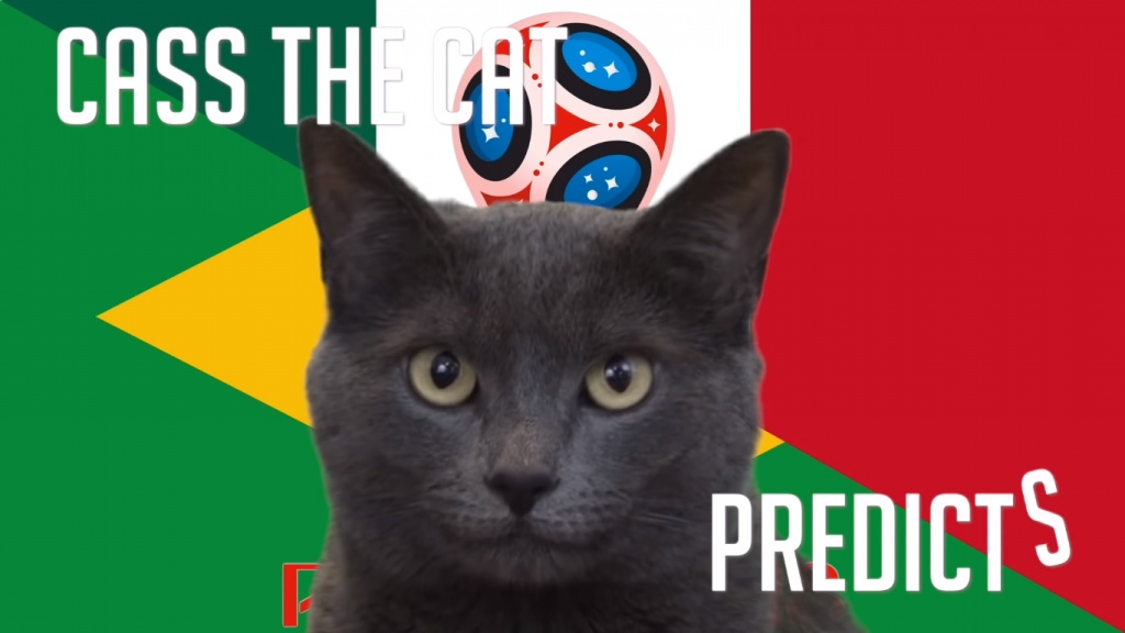 soc voi du doan world cup cua tien tri meo cass tran brazil vs mexico