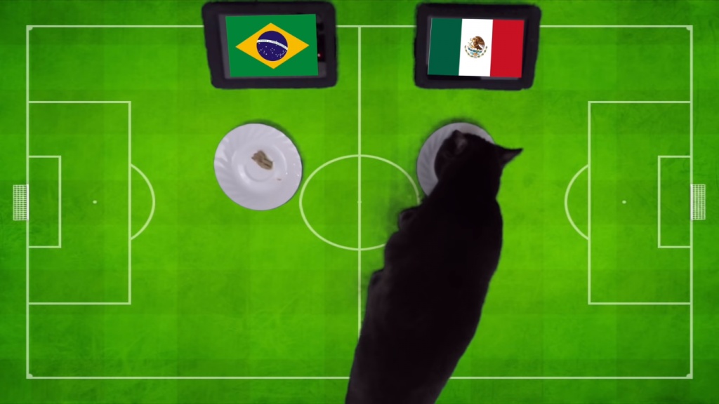 soc voi du doan world cup cua tien tri meo cass tran brazil vs mexico