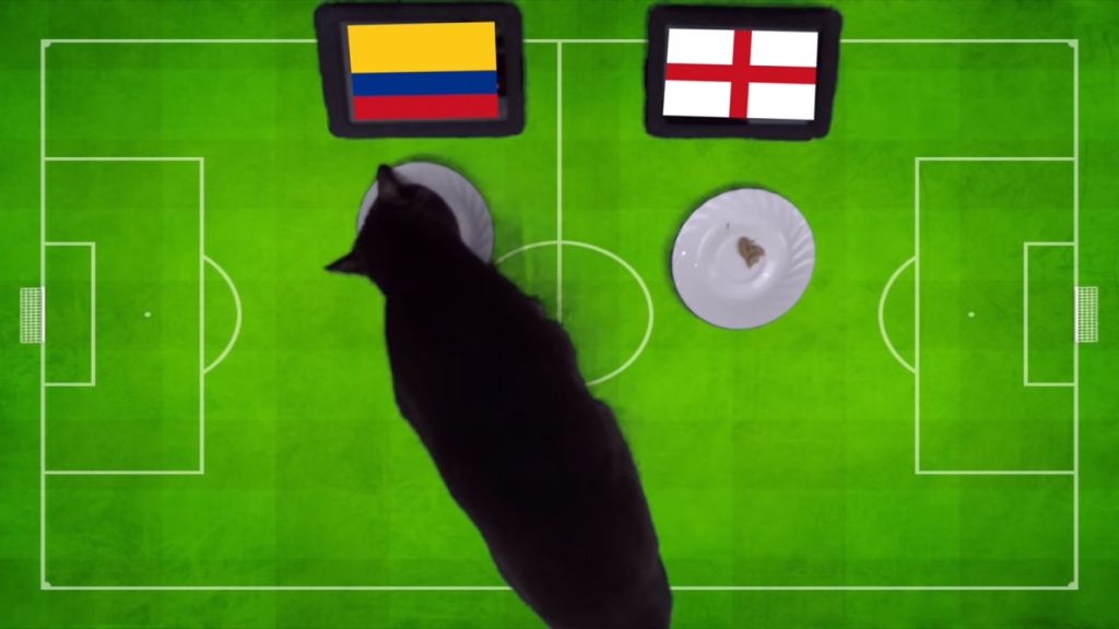 loan du doan cua cac nha tien tri dong vat voi cap dau giua colombia vs anh