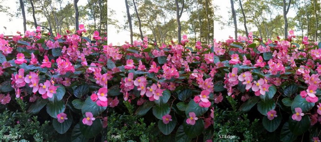 google pixel iphone 7 va galaxy s7 edge so tai camera