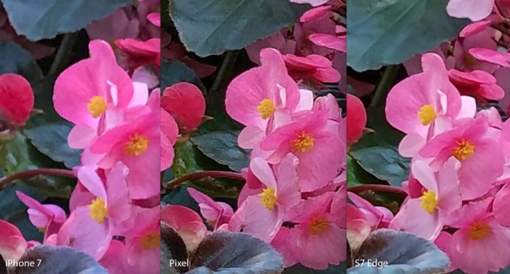 google pixel iphone 7 va galaxy s7 edge so tai camera