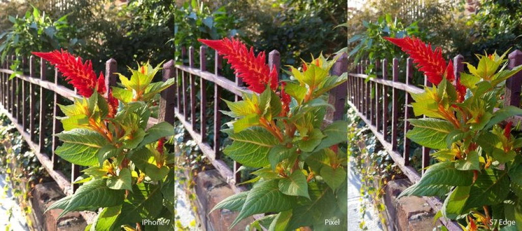 google pixel iphone 7 va galaxy s7 edge so tai camera
