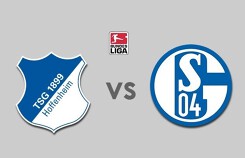 Nhận định Hoffenheim vs Schalke 04, vòng 13 Bundesliga mùa giải 2018-2019