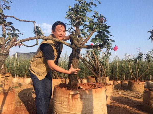 ngam nhung goc hong co sieu dat do cua dai gia viet